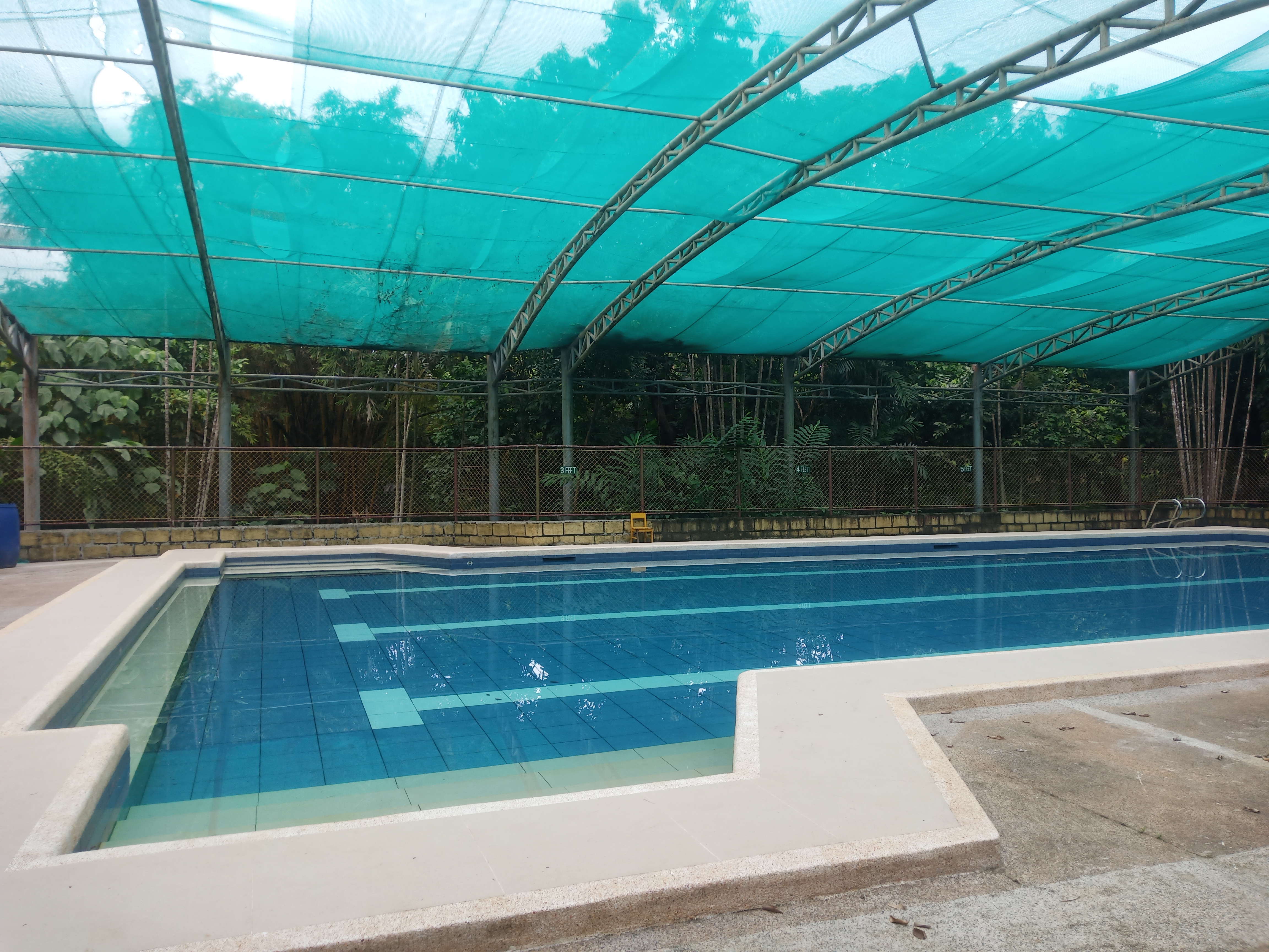 Graduates Celebrating